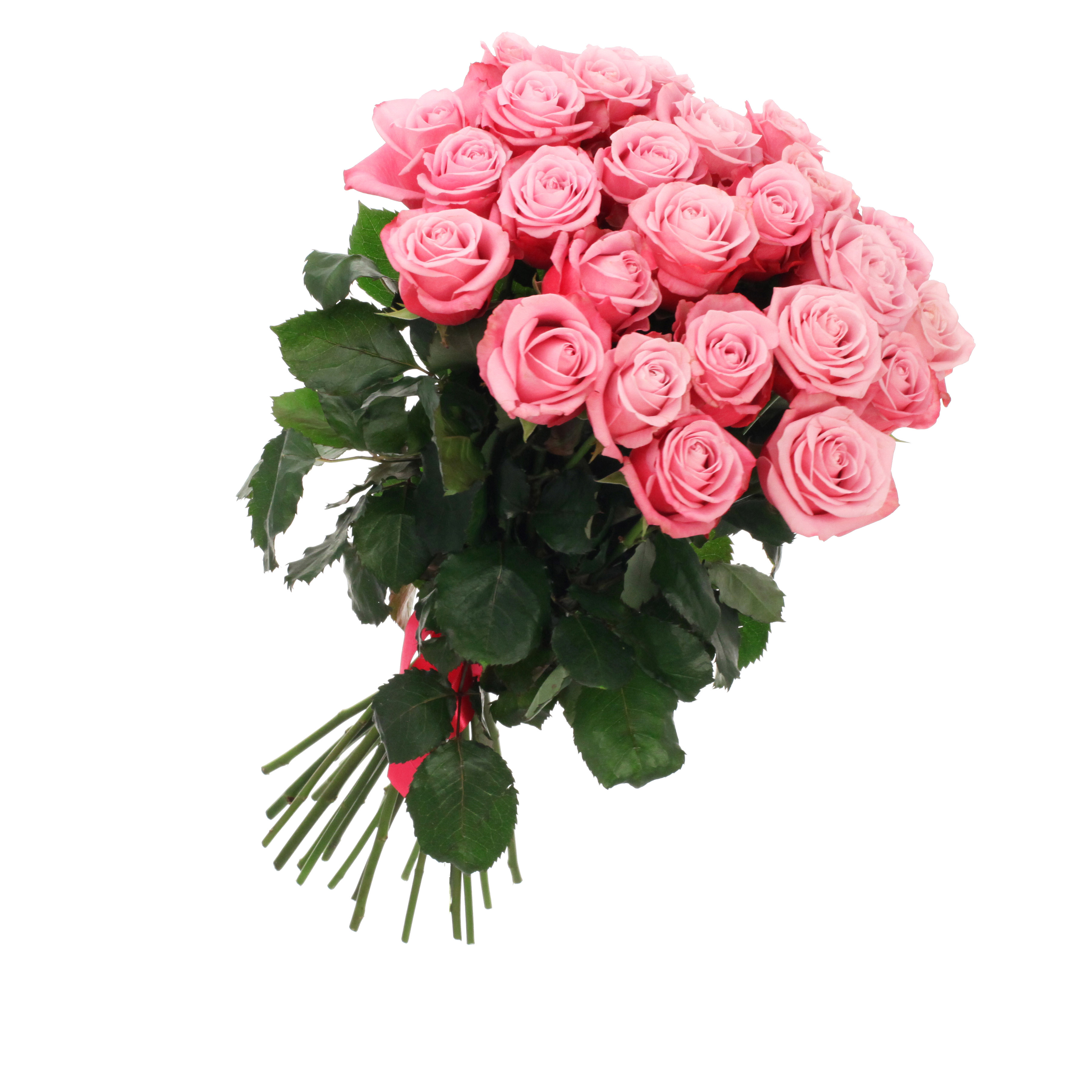 Букет стоковый из розовых роз